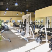 The Gym