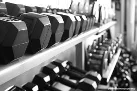 Free Weights vs. Machines