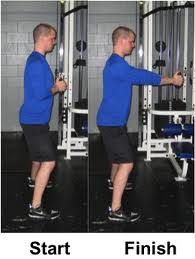 Pallof Press:  A Great Core Exercise